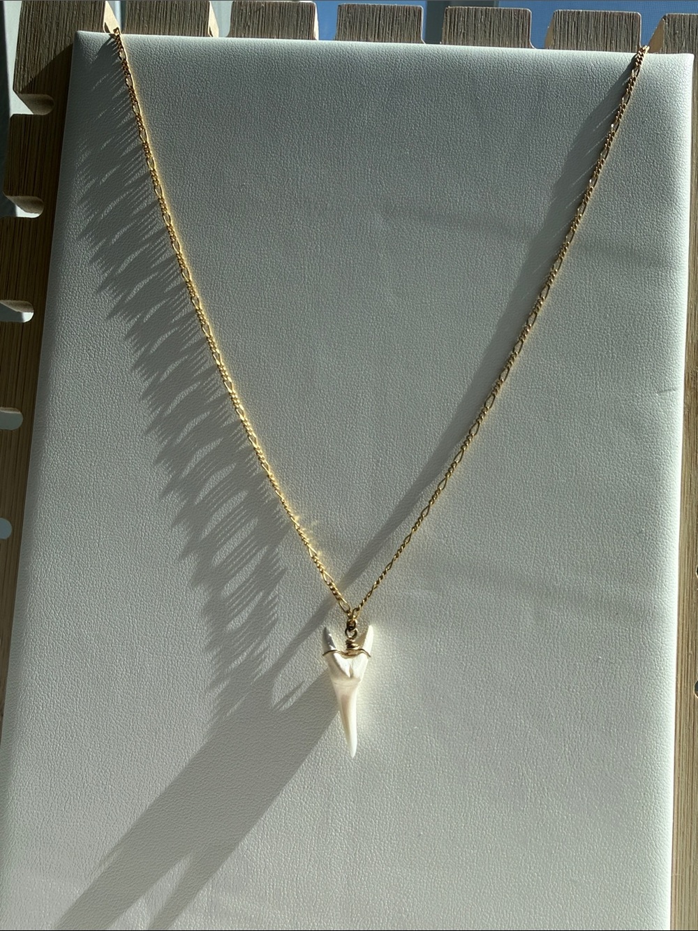 Gold Chain Necklace with Shark Tooth Pendant